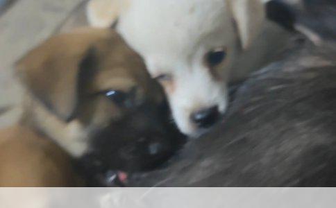 铝合金电缆检测报告的正确解读