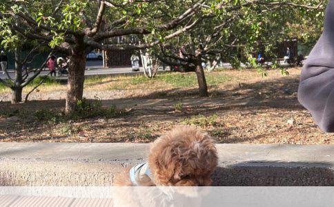 新春欢歌笑语多，趣事连连晒出来