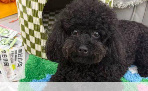 安卓手机照片导入苹果电脑全攻略