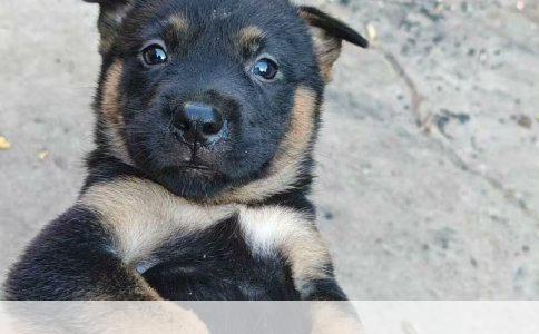 长寿郊外与BJ封妖满经验等级解析