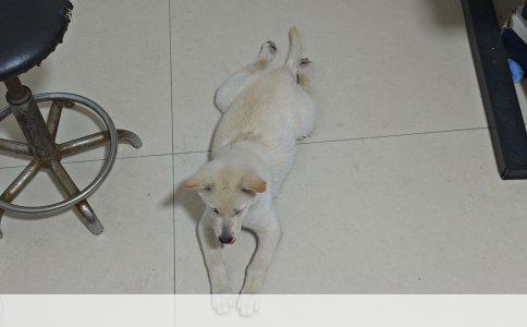 各地乐渔鱿鱼丝海鲜干货销售点一览