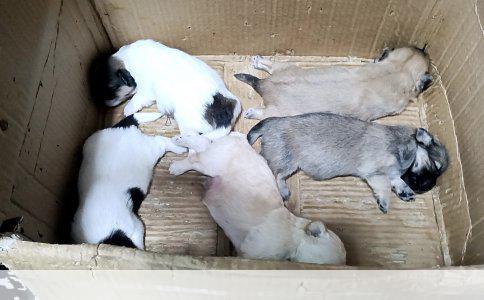 深圳市普拉迪家居用品有限公司的综合评估与市场分析