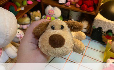 如何撰写家庭日常日常生活财务报告