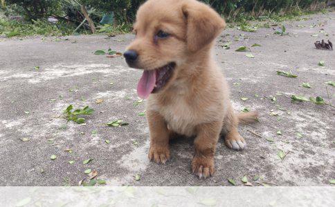 王源TFBOYS：笑点满满的挠痒瞬间