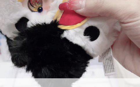 两个月吉娃娃受凉感冒怎么办