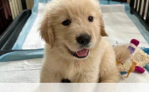 尼康D90拍摄产品图光泽不足的原因及解决方案