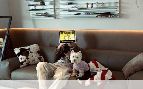 狗狗绝育后问题详解